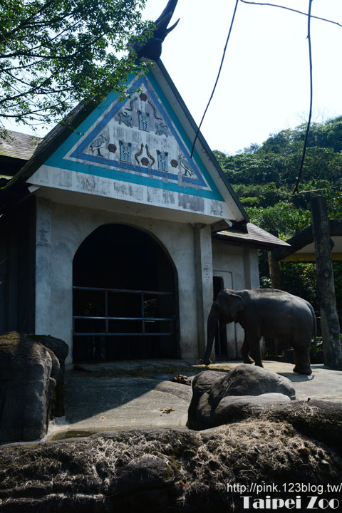 【台北旅遊景點】台北市立動物園(Taipei