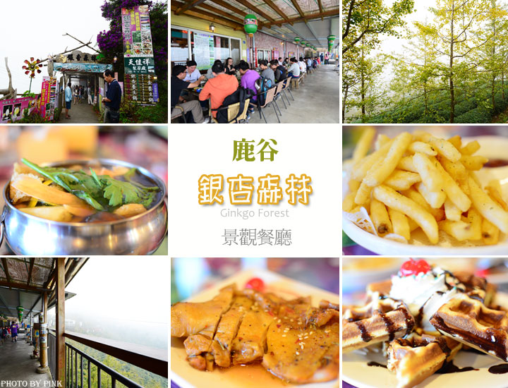 【鹿谷餐廳】銀杏森林景觀餐廳-嚐美食、喝好茶、賞美景-1.jpg