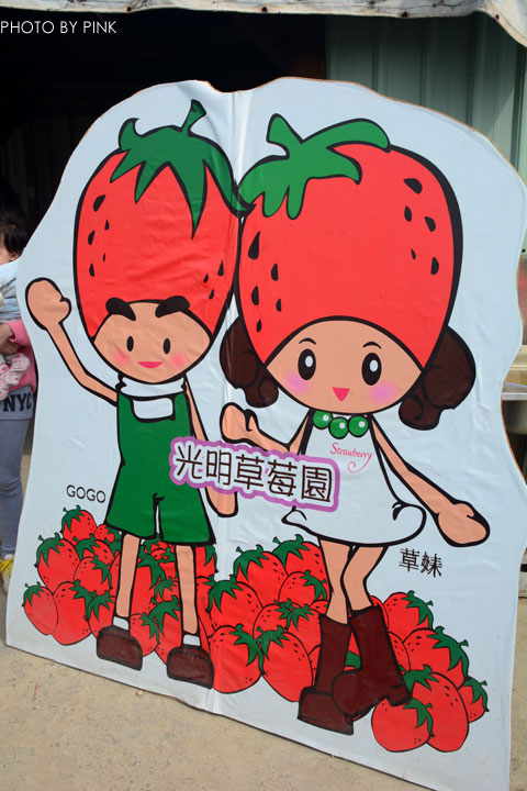 【國姓草莓】光明草莓園-粉紅莓果香甜上市囉!-DSC_2685.jpg