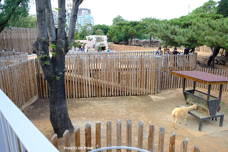 新竹市立動物園-DSCF4445.jpg
