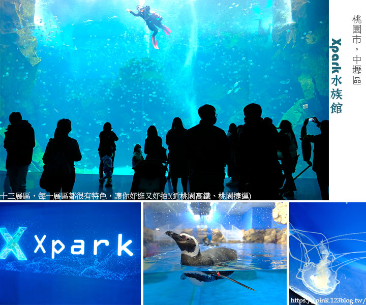 Xpark水族館-1.jpg