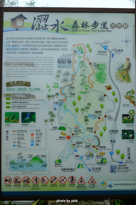 澀水森林步道-DSCF8006.jpg