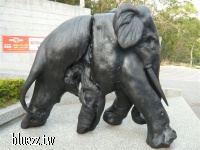 三義木雕博物館-P1030193.JPG